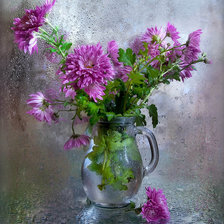 Схема вышивки «bez»