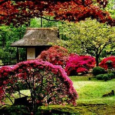 Схема вышивки «№367271»