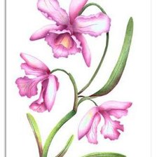 Схема вышивки «№367309»