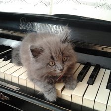 Схема вышивки «томас»