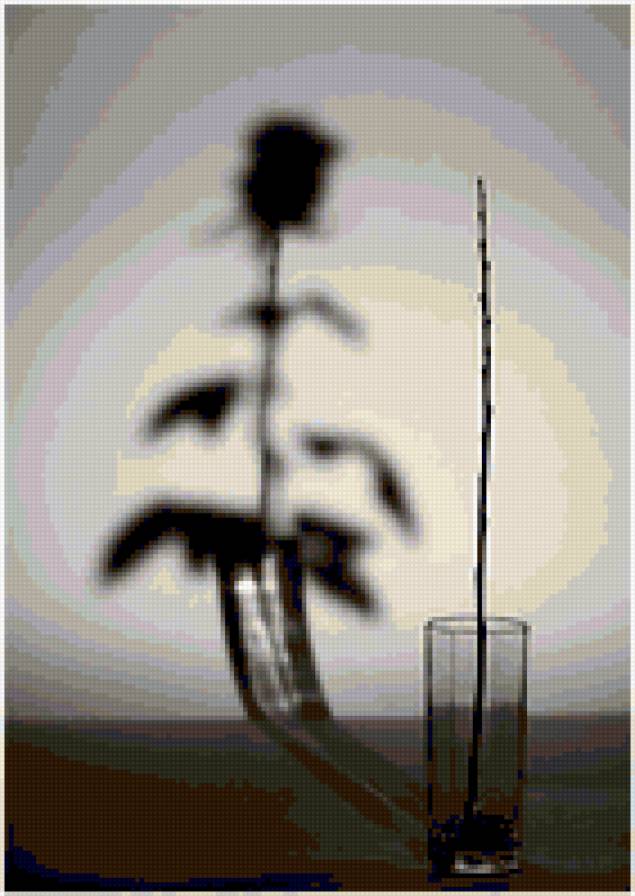 Ч/Б - предпросмотр