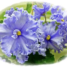 Схема вышивки «№367335»