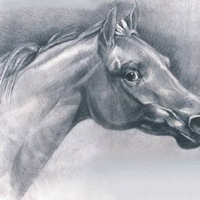 Схема вышивки «лошадь»