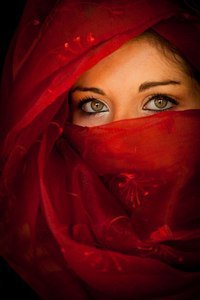 №367371 - оригинал