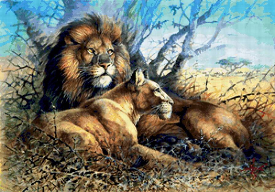 львы - картина - предпросмотр