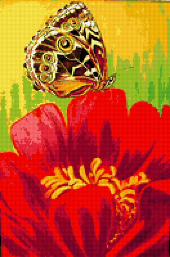 Мотылек-1 - предпросмотр