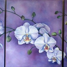 Схема вышивки «триптих-орхидеи»