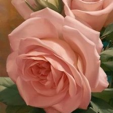 Схема вышивки «розы»