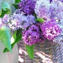 Схема вышивки «сирень»