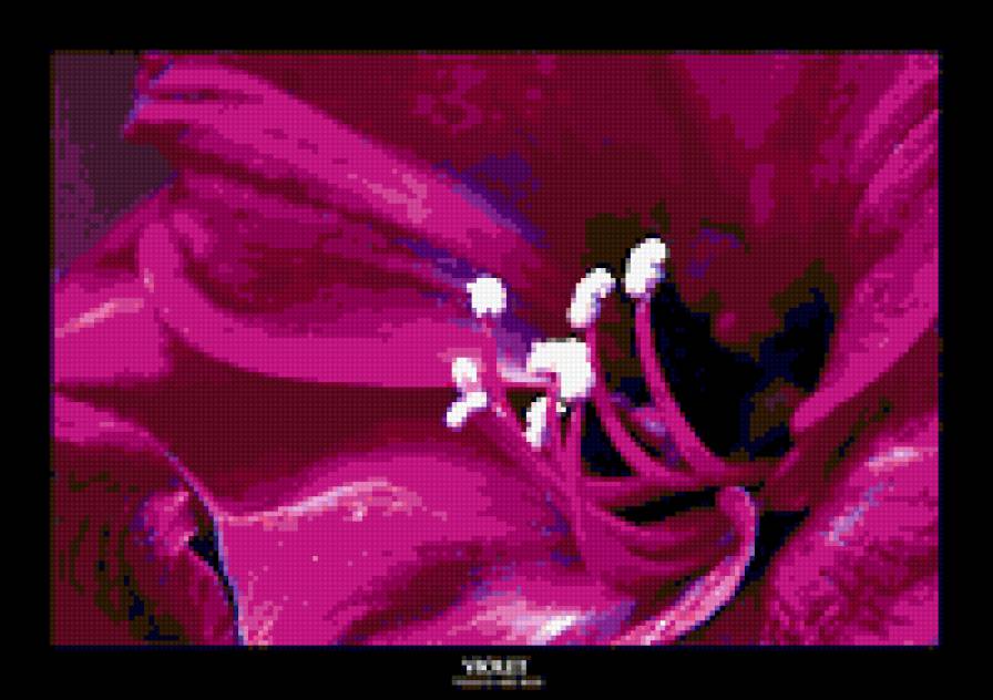 №367470 - фиолетовое-5 - предпросмотр