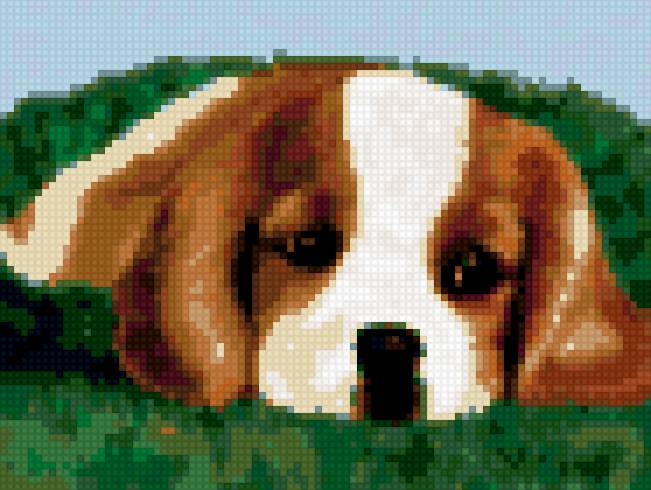 щенок - щенок, собака. животные - предпросмотр