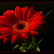 Схема вышивки «№367761»