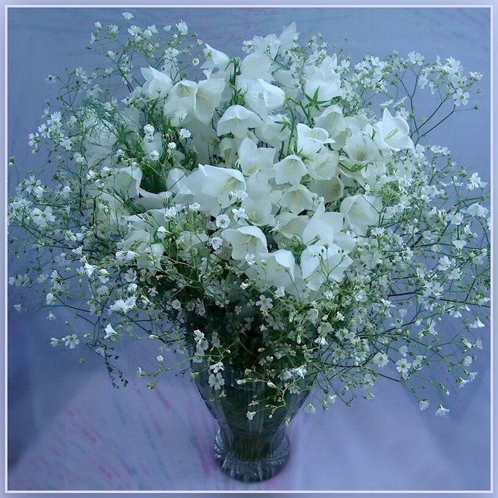 №367793 - оригинал