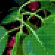 Предпросмотр схемы вышивки «№367794»