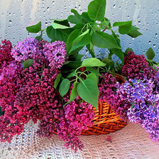 Схема вышивки «№367794»