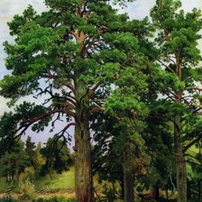 Схема вышивки «шишкин - сосны»