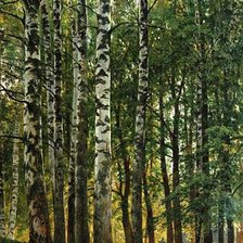 Схема вышивки «Березовая Роща Шишкин»