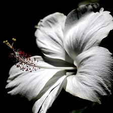 Схема вышивки «№367893»