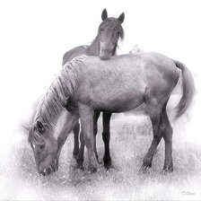 Схема вышивки «№367905»