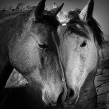 Схема вышивки «№367909»