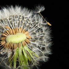 Схема вышивки «№367939»