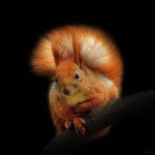 Схема вышивки «№367948»