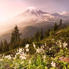 Схема вышивки «Вид на Альпы»