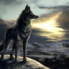 Схема вышивки «Волк»