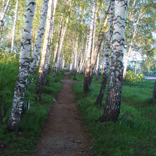 Схема вышивки «№367997»