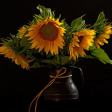 Схема вышивки «№368026»