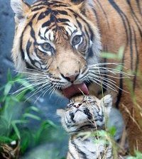 Схема вышивки «№368145»