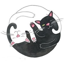 Схема вышивки «инь янь»