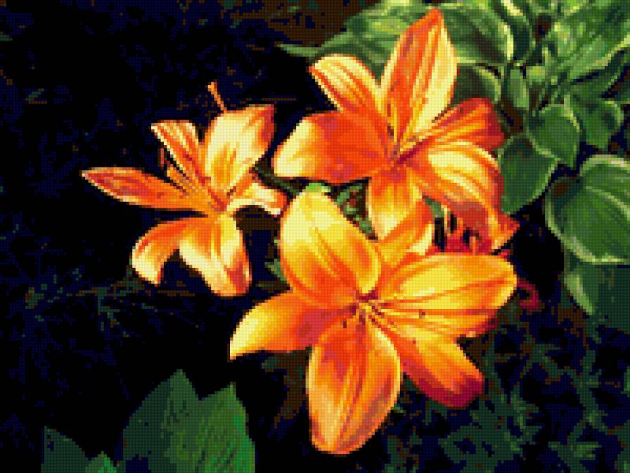 LILII - предпросмотр