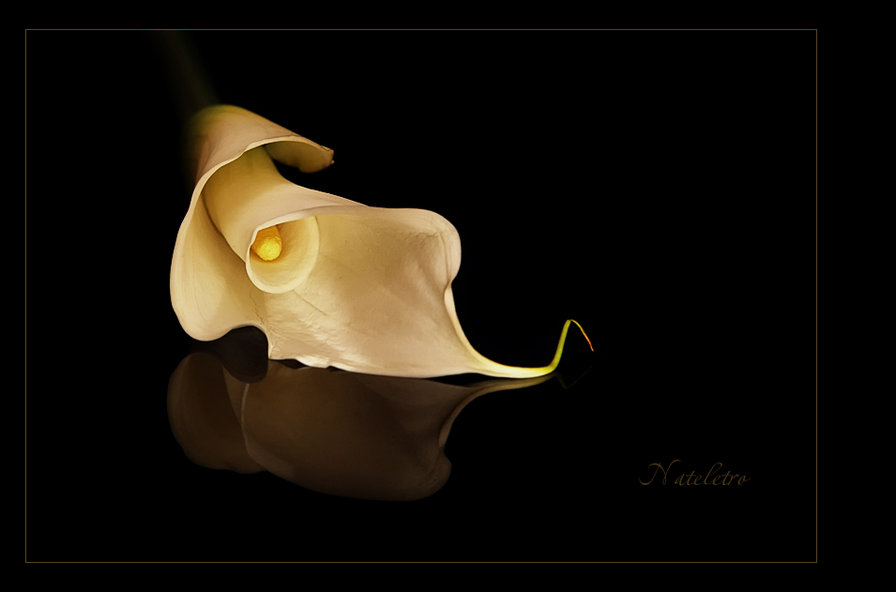 №368220 - оригинал