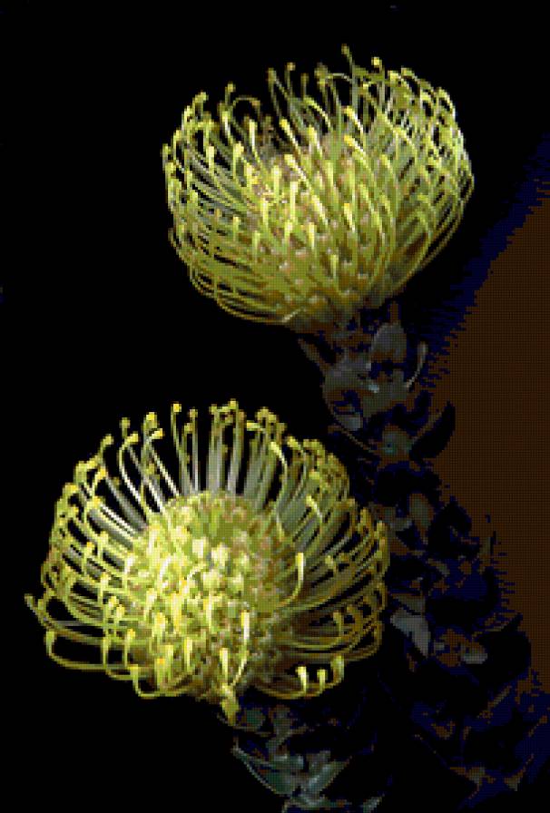 №368222 - предпросмотр