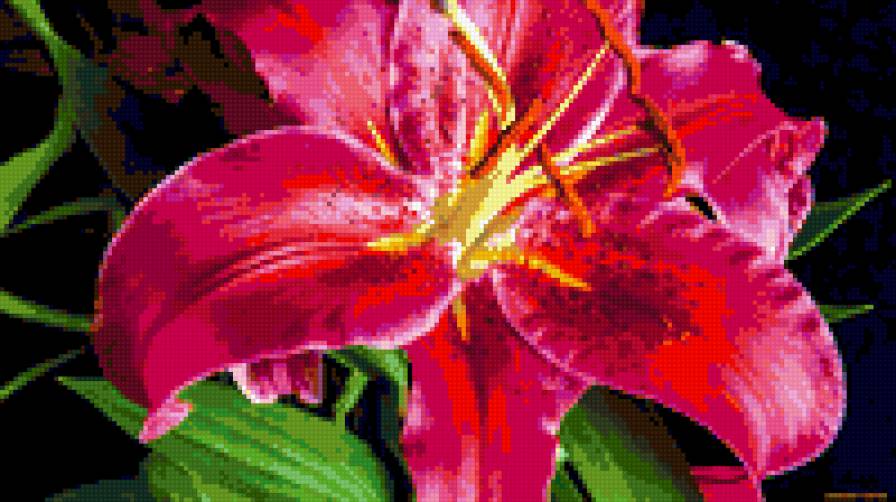 LILIYA SUPER - предпросмотр