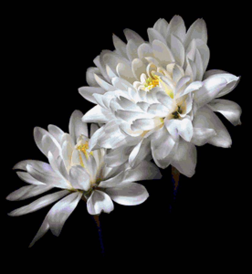 №368237 - предпросмотр