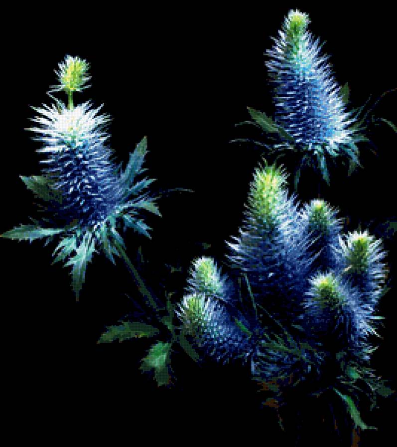 №368250 - предпросмотр