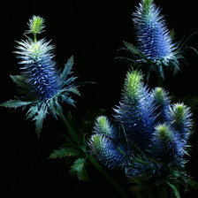 Схема вышивки «№368250»