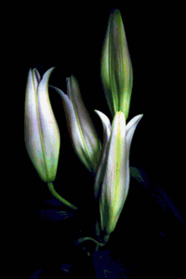 №368254 - предпросмотр