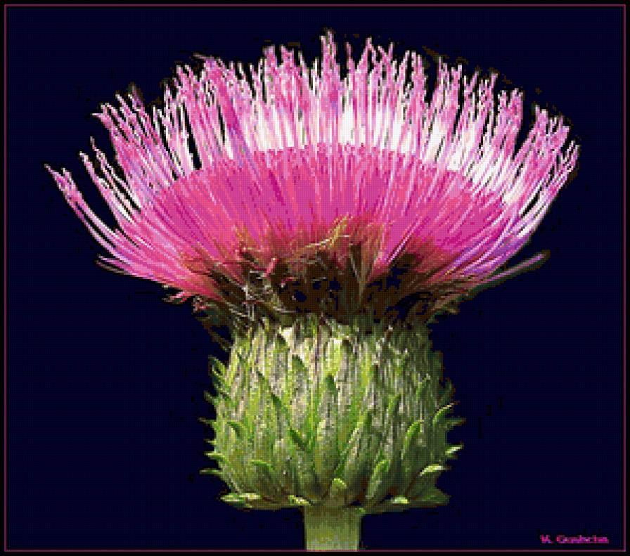 №368272 - предпросмотр