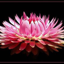 Схема вышивки «№368275»