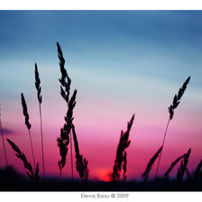 Схема вышивки «рассвет»