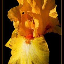 Схема вышивки «№368488»