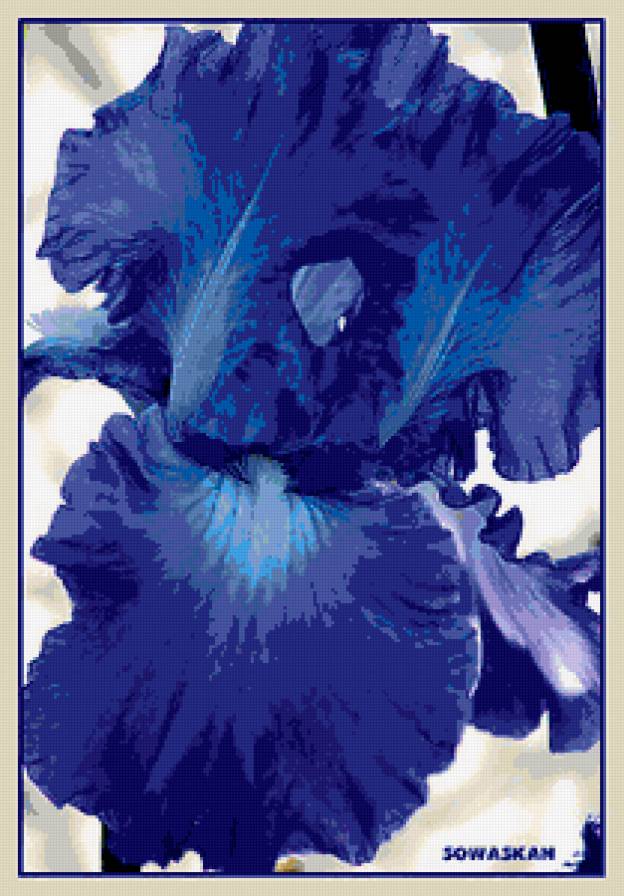 №368491 - предпросмотр