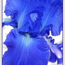 Схема вышивки «№368491»