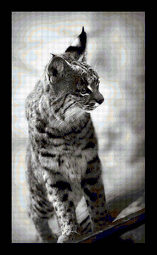 №368494 - предпросмотр