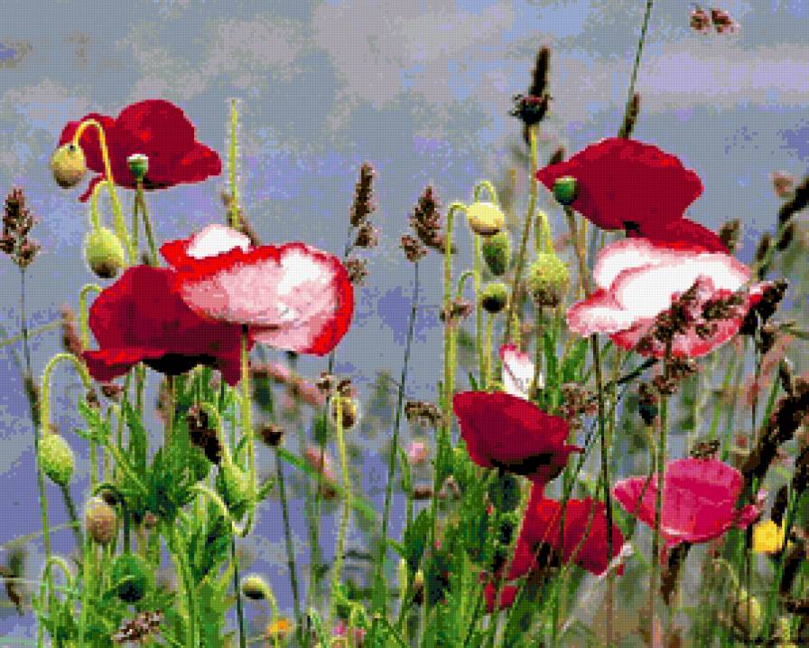 №368508 - предпросмотр