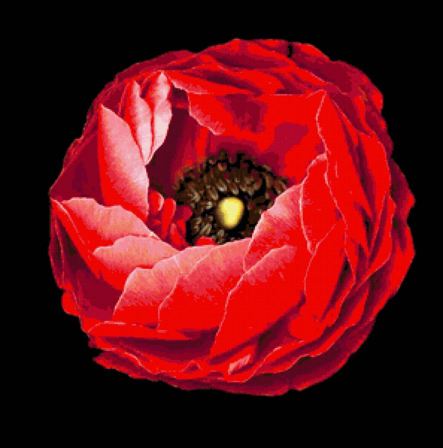 №368545 - предпросмотр