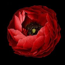 Схема вышивки «№368545»